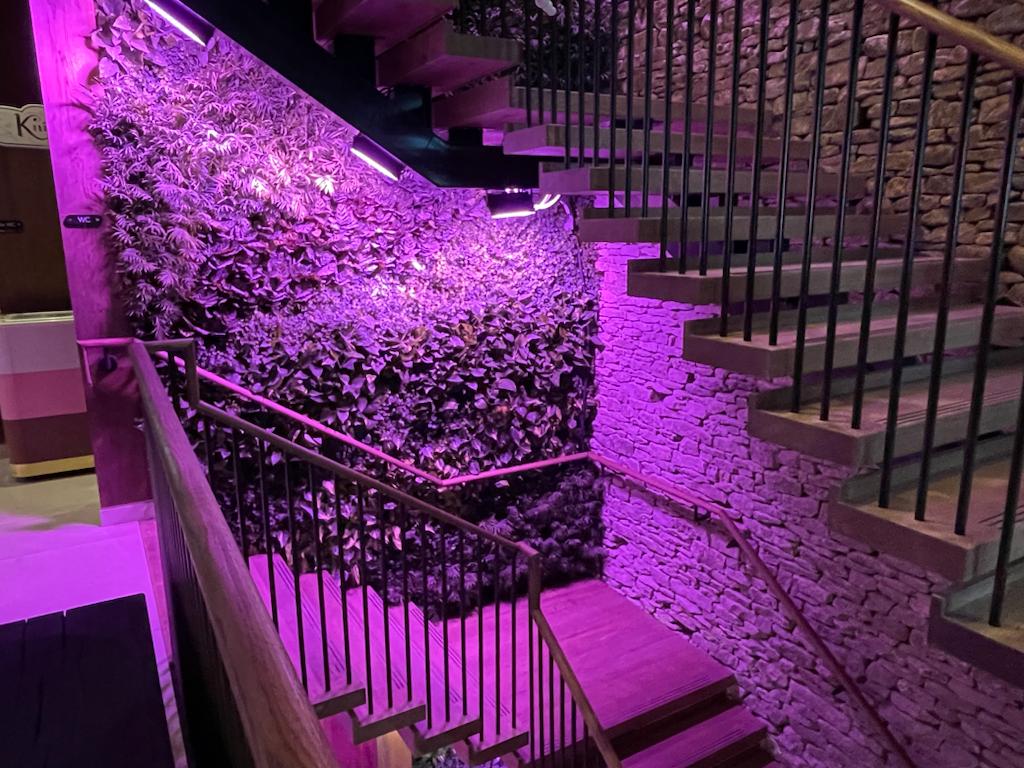 steel staircase